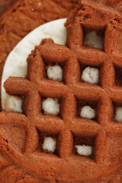 Cookie texture background — Stock Photo, Image