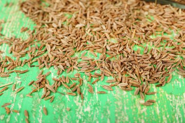 Defne tohumu dağınık