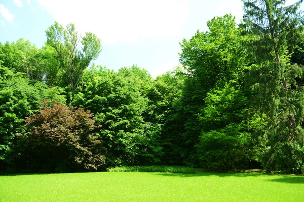 Güzel park — Stok fotoğraf