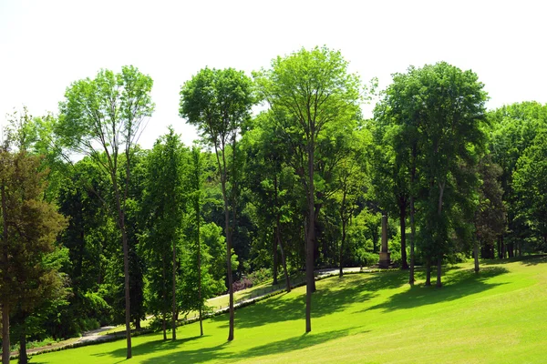 Güzel park — Stok fotoğraf