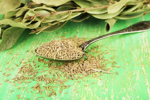 Lagerblad och frön — Stockfoto