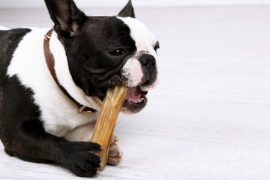 Fransız buldozer kemik odasında