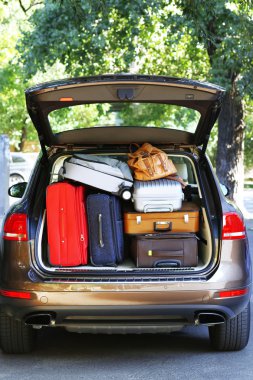 Suitcases and bags in trunk clipart