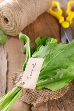 Kuzukulağı tablo yakın çekim üzerinde