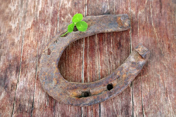 Old horse shoe — Stock Photo, Image