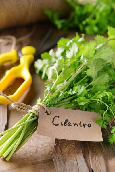 Cilantro on table close-up — Stock Photo, Image