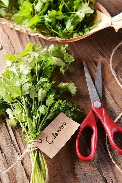 Cilantro on table close-up — Stock Photo, Image