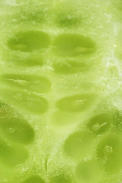 Gros plan sur la texture du concombre — Photo