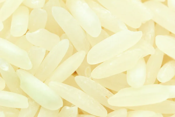 Close-up of rice seeds — Stock Photo, Image