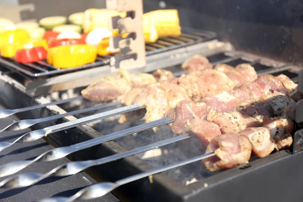 Skewers and vegetables on barbecue — Stock Photo, Image