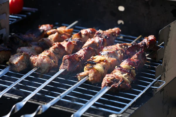 Broches sur barbecue grill — Photo