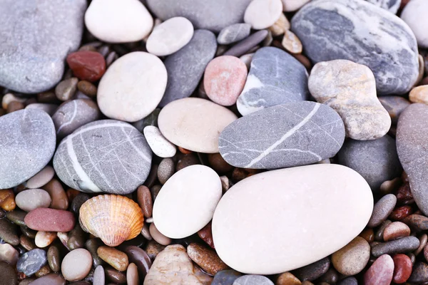 Fondo de piedras marinas — Foto de Stock