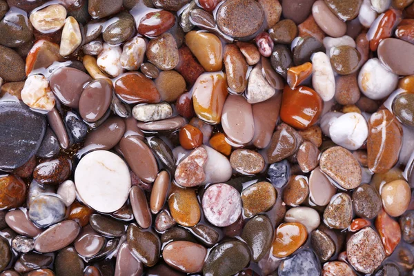 Sea stones as background — Stock Photo, Image
