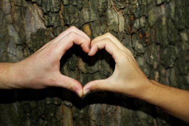 kalp işareti yaparak eller