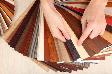 mobilya için renk paleti