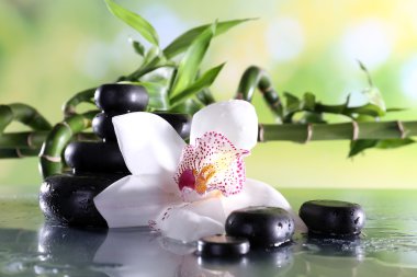 Spa taşlar ve beyaz orkide