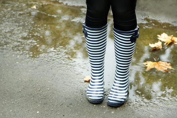 Regenachtige herfstdag. — Stockfoto