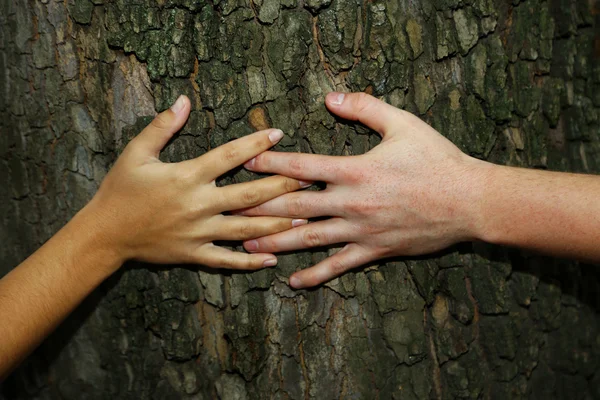 Abbraccia le mani albero — Foto Stock