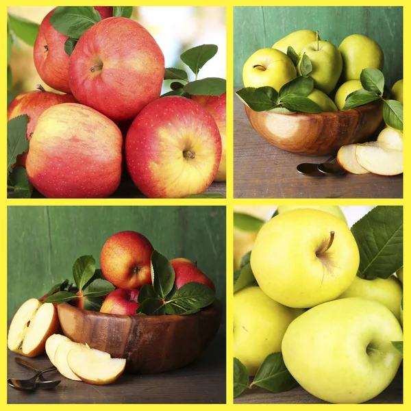 Collage de manzanas —  Fotos de Stock