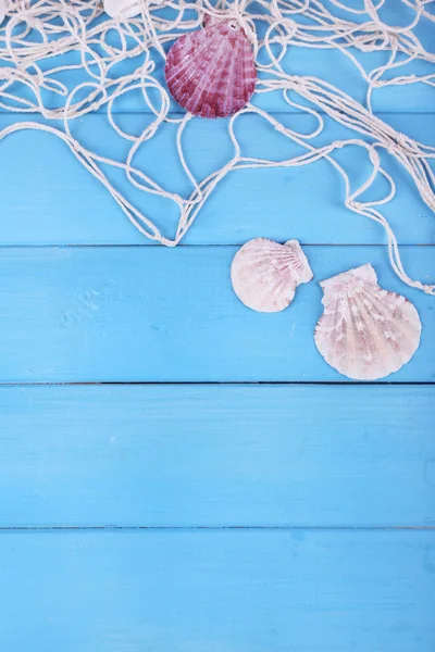 Decor of seashells on blue — Stock Photo, Image