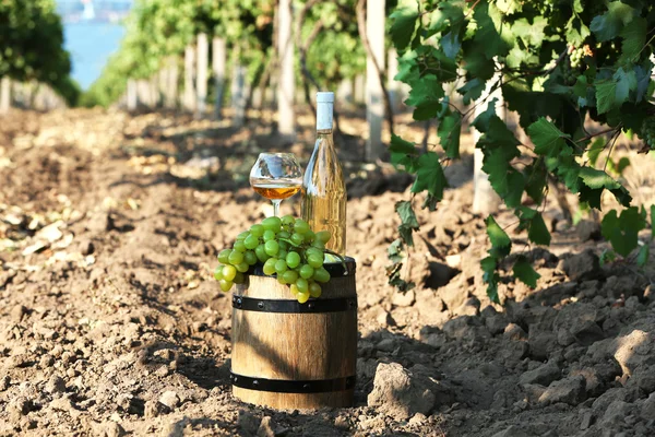 Cálice e garrafa de vinho — Fotografia de Stock