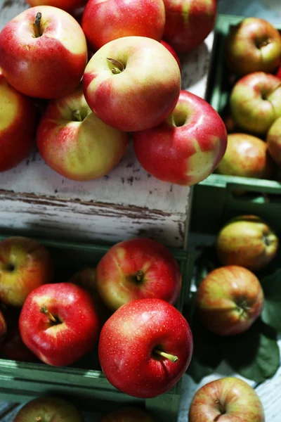 Juicy apples in box, close-up — Stock Photo, Image