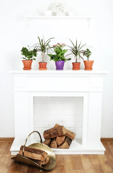 Fireplace with beautiful decorations — Stock Photo, Image