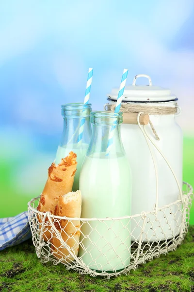 Tasty rustic milk — Stock Photo, Image