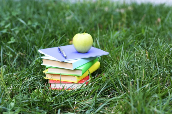 Livres empilés dans l'herbe — Photo