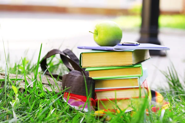 Stacked books in grass — Stock Photo, Image