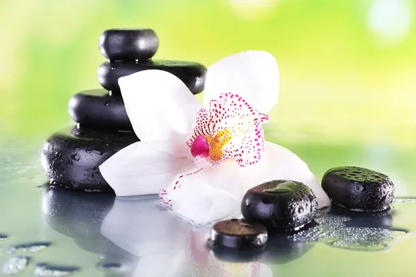 Spa stones and white orchid — Stock Photo, Image