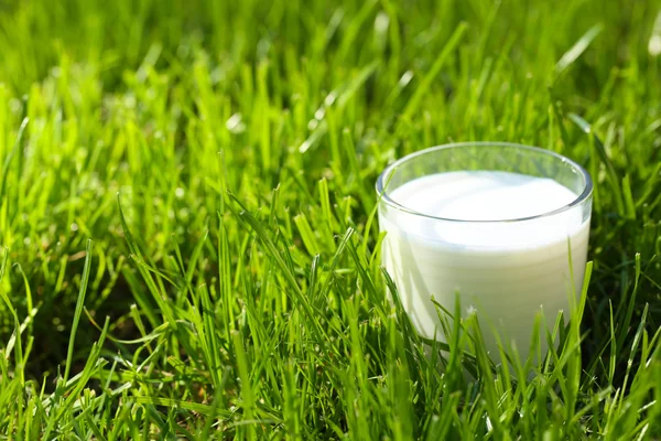 Milch im Glas auf Gras in Großaufnahme — Stockfoto