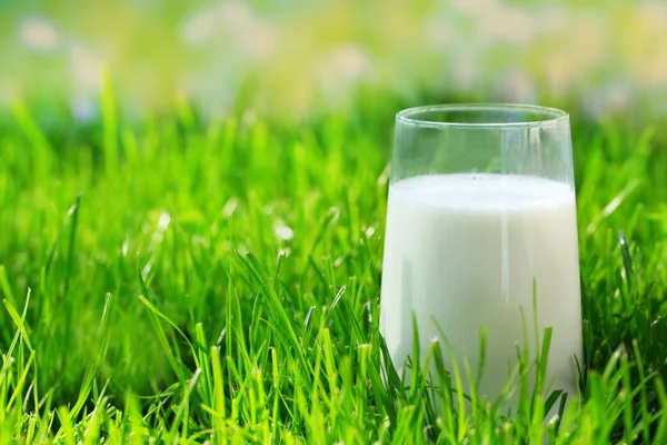 Milch im Glas auf Gras auf natürlichem Hintergrund — Stockfoto