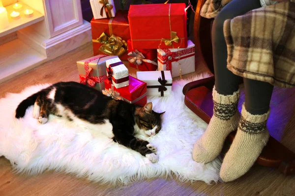 Lindo gato acostado en la alfombra en la parte delantera de la chimenea — Foto de Stock