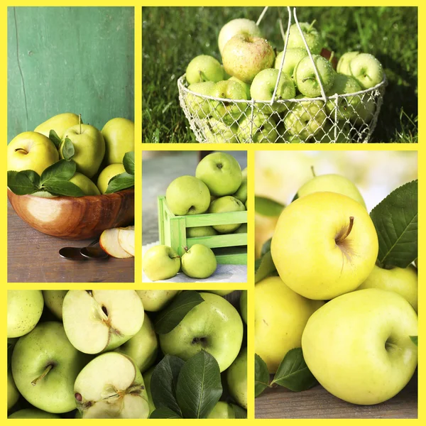 Collage av äpplen — Stockfoto