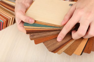 mobilya için renk paleti