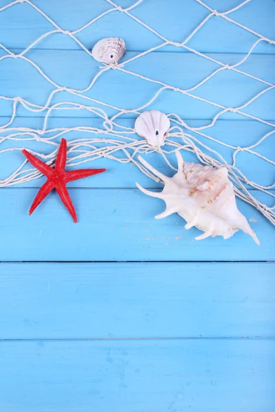 Decoración de conchas marinas de cerca — Foto de Stock