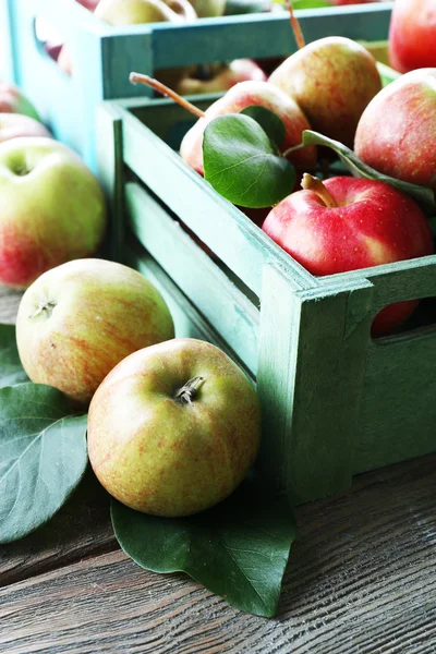 Juicy apples in box — Stock Photo, Image