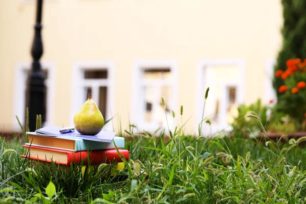Stacked books in grass, outside — Stock Photo, Image