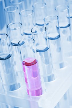 Test tüpleri leylak sıvı ile