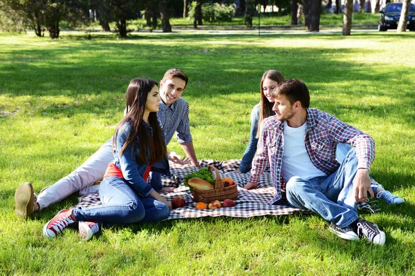 Happy vrienden op picknick — Stockfoto