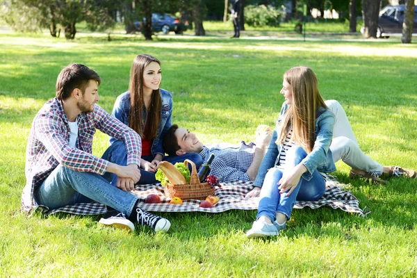 Amigos felices en el picnic —  Fotos de Stock