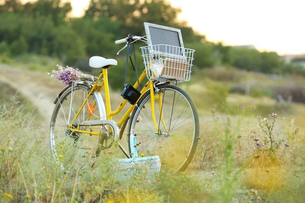 Bicicleta no prado durante o pôr do sol — Fotografia de Stock