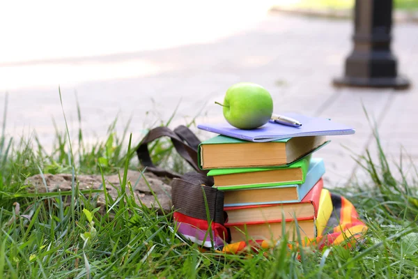 Staplade böcker i gräs — Stockfoto