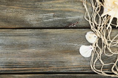 Deniz kabuklarını ahşap masa dekor