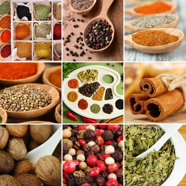 Collage of different spices — Stock Photo, Image