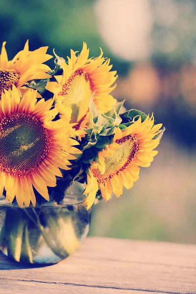 Hermosos girasoles en la mesa —  Fotos de Stock