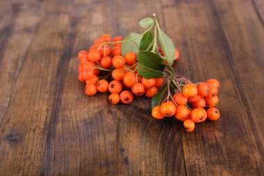 Ashberry kahverengi ahşap zemin üzerinde