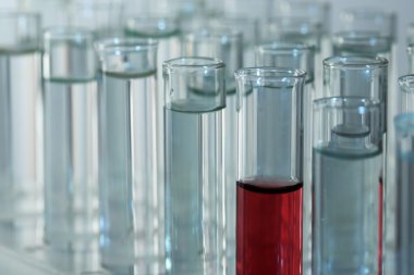 gri arka plan üzerinde test tüpleri