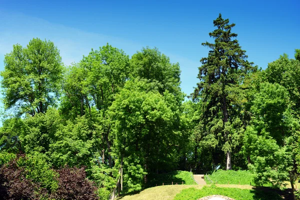 Krásný park venku — Stock fotografie